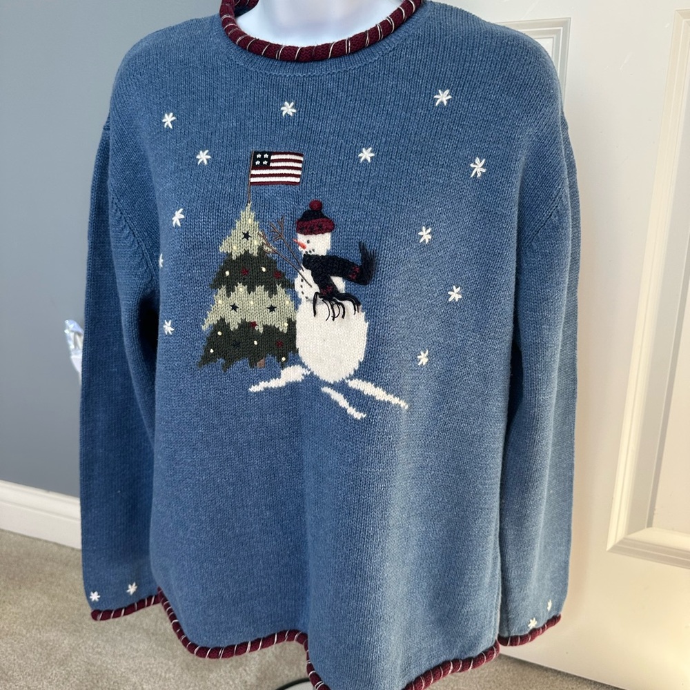 Christopher & Banks Blue and Red Sweater